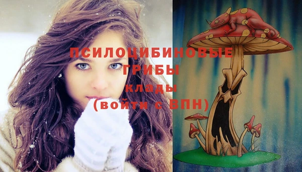 бошки Абдулино